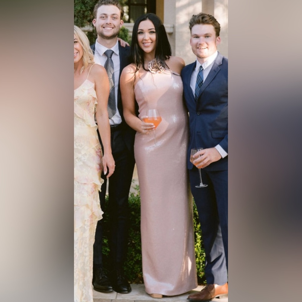 Rebecca Vallence Elegant Pink Sequin Gown - Picture 9 of 9